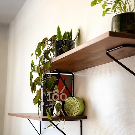 Green Lake Apartment